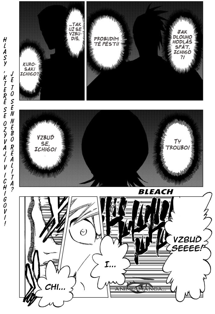 bleach-ch425-01 kopie.jpg